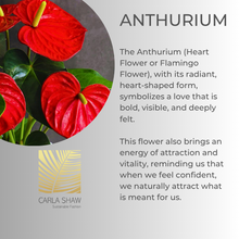 Load image into Gallery viewer, Anthurium Leaf Bracelet
