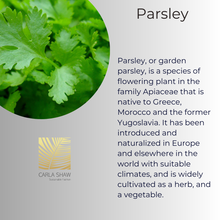 Load image into Gallery viewer, Parsley Earrings